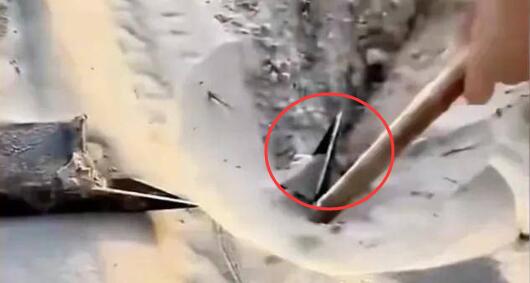 ��ɳ��ͨ��ɳĮ��ϵ������Ϊ