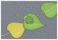 ��������С�Ƴ�������ôȥ������?ϸϸ�����Լ��ĵ�һ�γ���