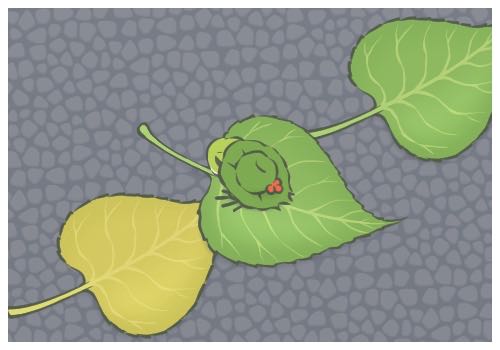 ��������57�������޷��Ҹ�