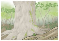 �¹��������˿�ʼ½������,�¹�����������Щ����֢��