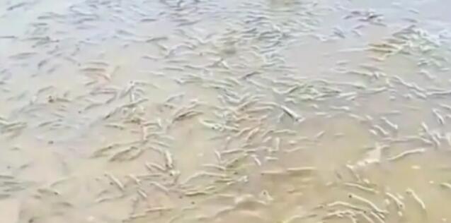 �㶫һ��̲ͻȻӿ�ִ�����Ϻ