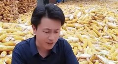 �������������ַ�˿��ˢ����,��Щ�����Ȧ�۵�������Ů��