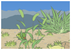 ��Ů�˵����ԼѾ�,������Ů�˺����˵ľ���