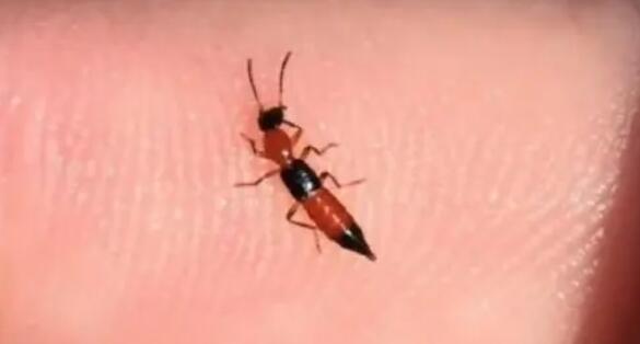 ��������һ��ӦҪ��������