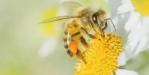 ������������ҹ����