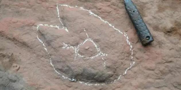 �к���ˣʱ���ֺ��������㼣