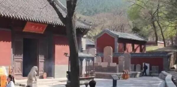 �����»�Ӧ�����ο��Դ���