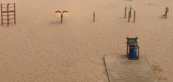 ������ɹ����������Ƭ��