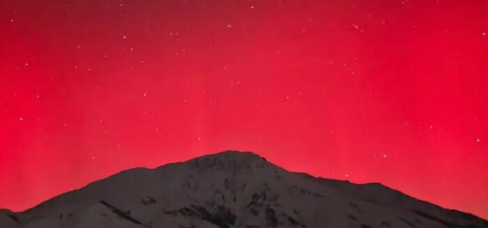 �½����ֺ���ȫ��ɫ����