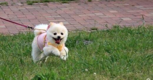 �������ݱ�������Ȯ�ഫȾ��