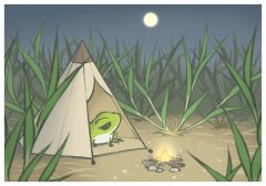 ���������ݳ������װ�����п���,���������ع�