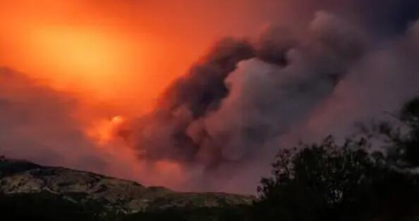 �ൺջ�����մ�ү��Ҫ��ֹͣӪҵ