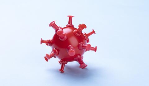 ֧ԭ��������¹ڵı�����