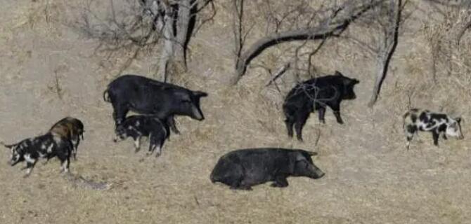 ���ô󳬼�����������