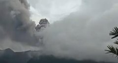 ӡ������������Ƥ��ɽ���緢,Ŀǰ������Ա��������