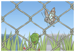 ӡ�Ⱦ��������������˻�,���ڿ�����������