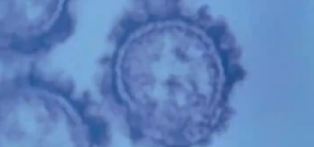 ���в����м�����Ⱦ����ǿ