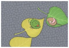 ��������ͣ��Ϣ����ȫ���µ�,���������������