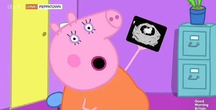 С��������������������̥