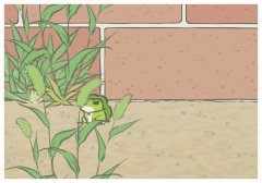 ������ͳ�����ý����ͷ�,����֮����ʮ�в�������