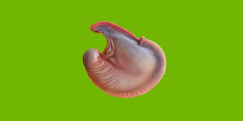 Ů��ֱ���μ�ƨ��ë���˹ۿ�