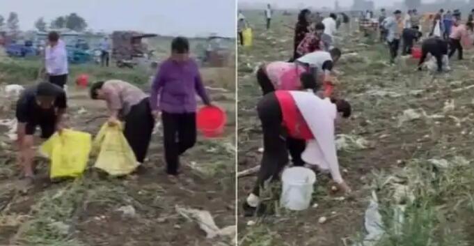 ����500Ķ������������