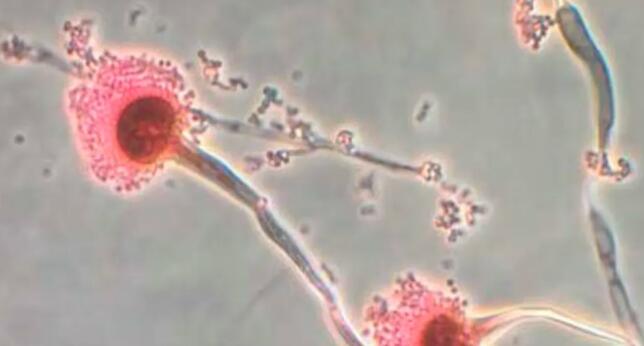 ���������ù����������