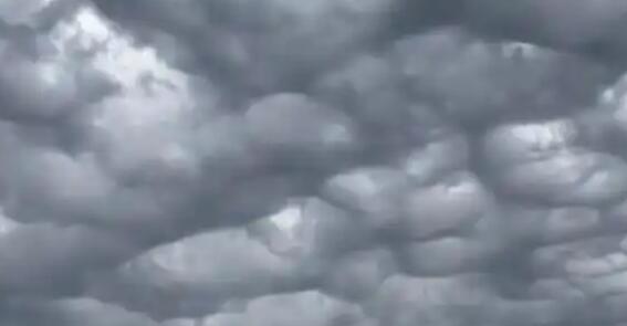 ��������ֿ�����