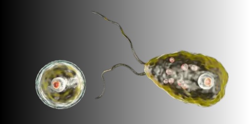 ʳ�Գ��Ⱦ�ĳ���֢״