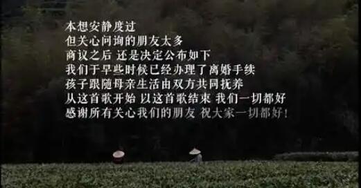 李亚鹏与海哈金喜离婚