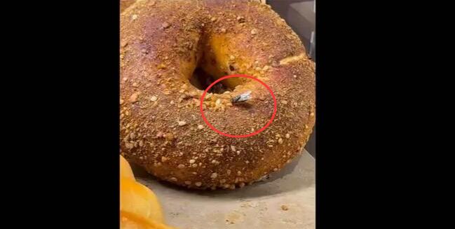 ʯͷ���������̨���ֲ�Ӭ